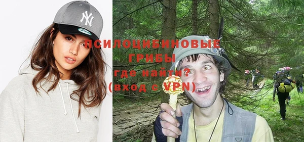 ешки Зеленодольск