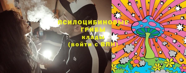 ешки Зеленодольск