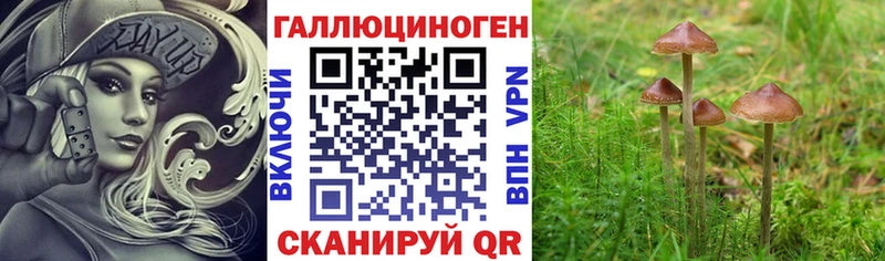 Псилоцибиновые грибы мухоморы  как найти закладки  Железногорск 