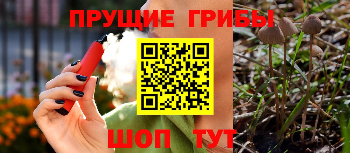 Псилоцибиновые грибы Psilocybine cubensis  Вход с VPN  Железногорск 
