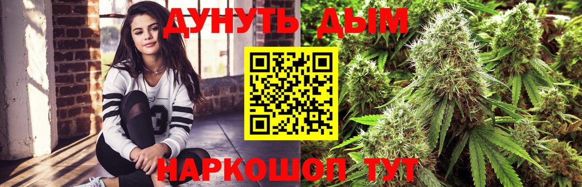 МАРИХУАНА конопля Железногорск